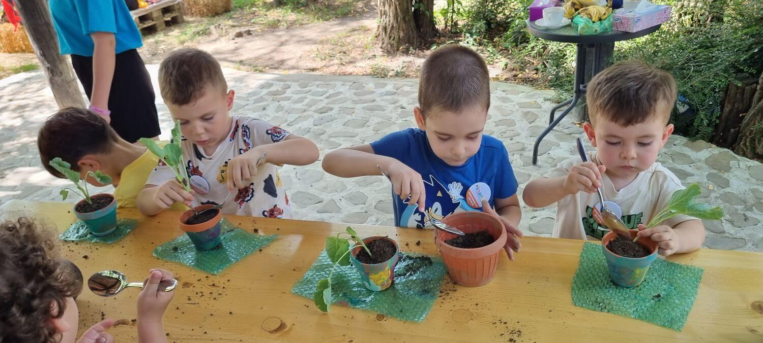 Școala de vară - Grădinița Arons, București, Sector 4
