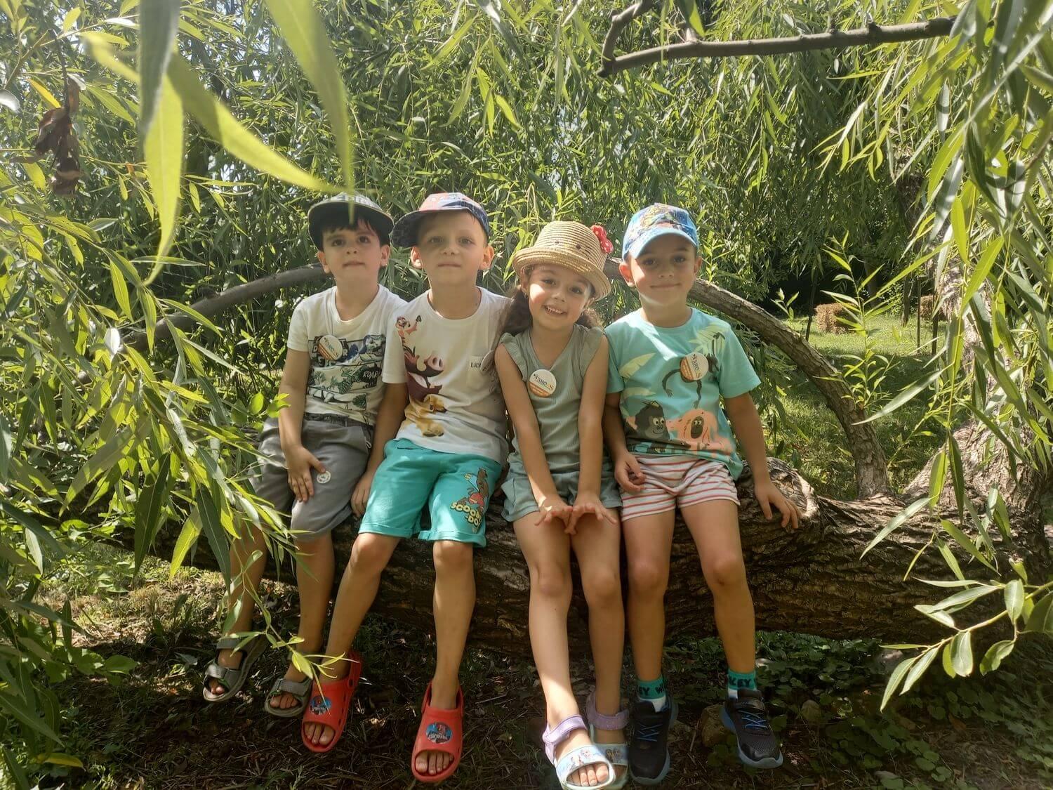 Școala de vară - Grădinița Arons, București, Sector 4